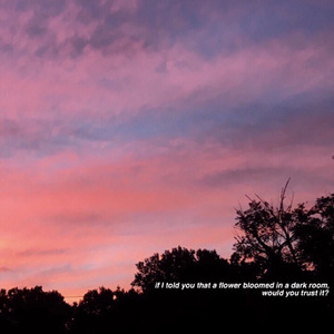 娇妻旅游第三部
